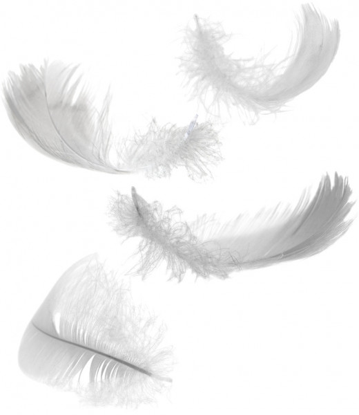 Duality in Motherhood 1